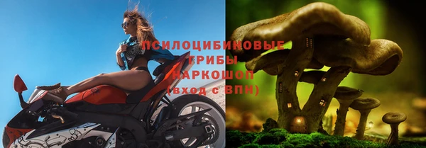 меф Каменногорск