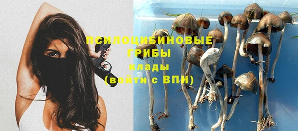 меф Каменногорск