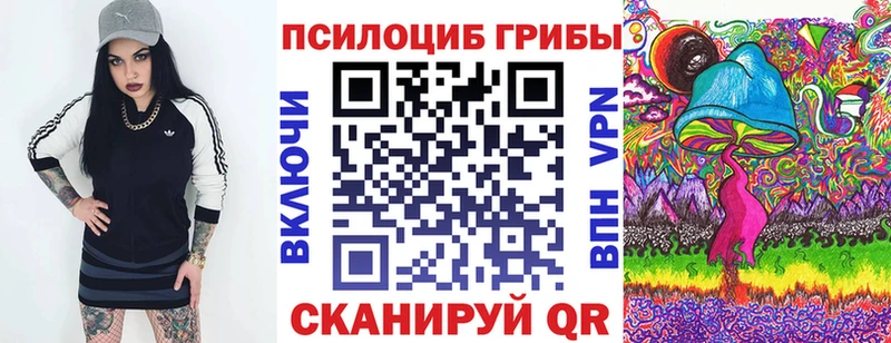 Галлюциногенные грибы GOLDEN TEACHER  Купить  Гвардейск 