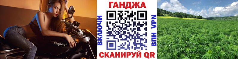 Каннабис Amnesia  Купить где  Гвардейск 